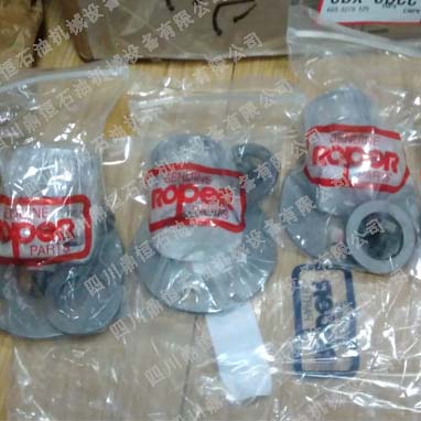 Roper�X݆��2AM27�ܷ�������N24-154 �����M(j��n)��